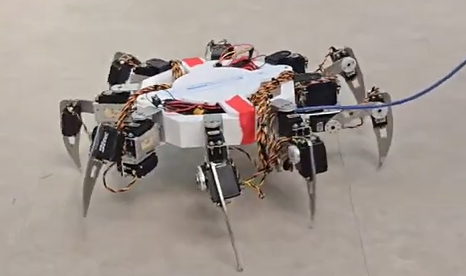 Crabbot