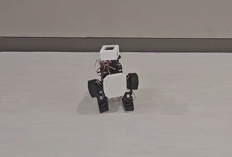 Robot video